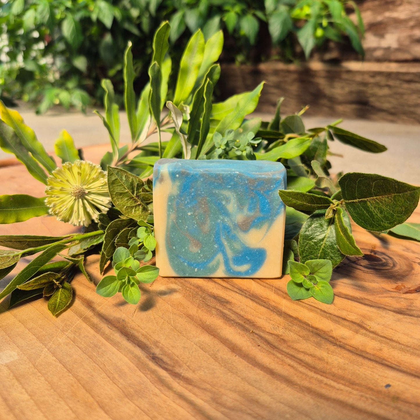 Classic Soap Bar - Blueberry Pie