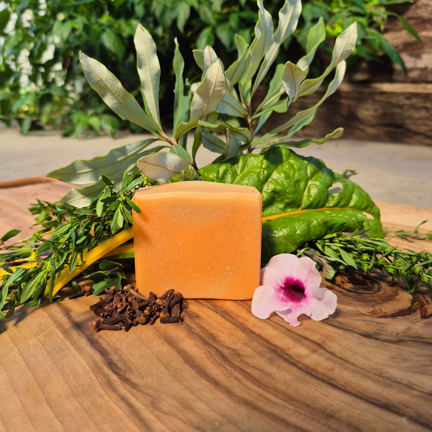 Classic Soap Bars - Orange and Clove