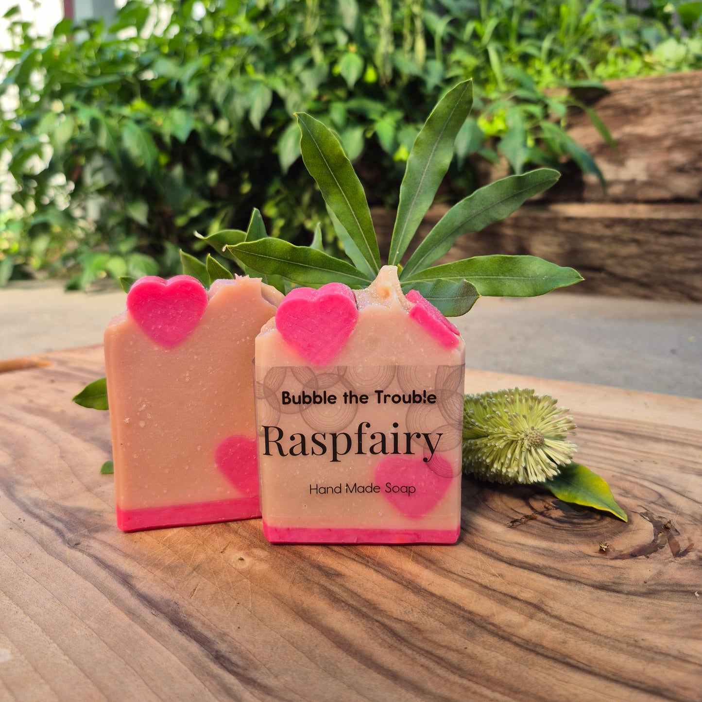 Large Soap Bar - Raspfairy
