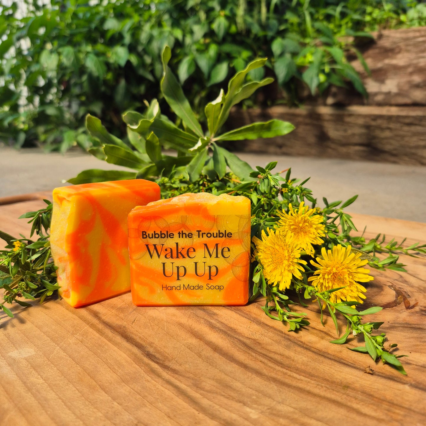 Classic Soap Bar - Wake Me UpUp