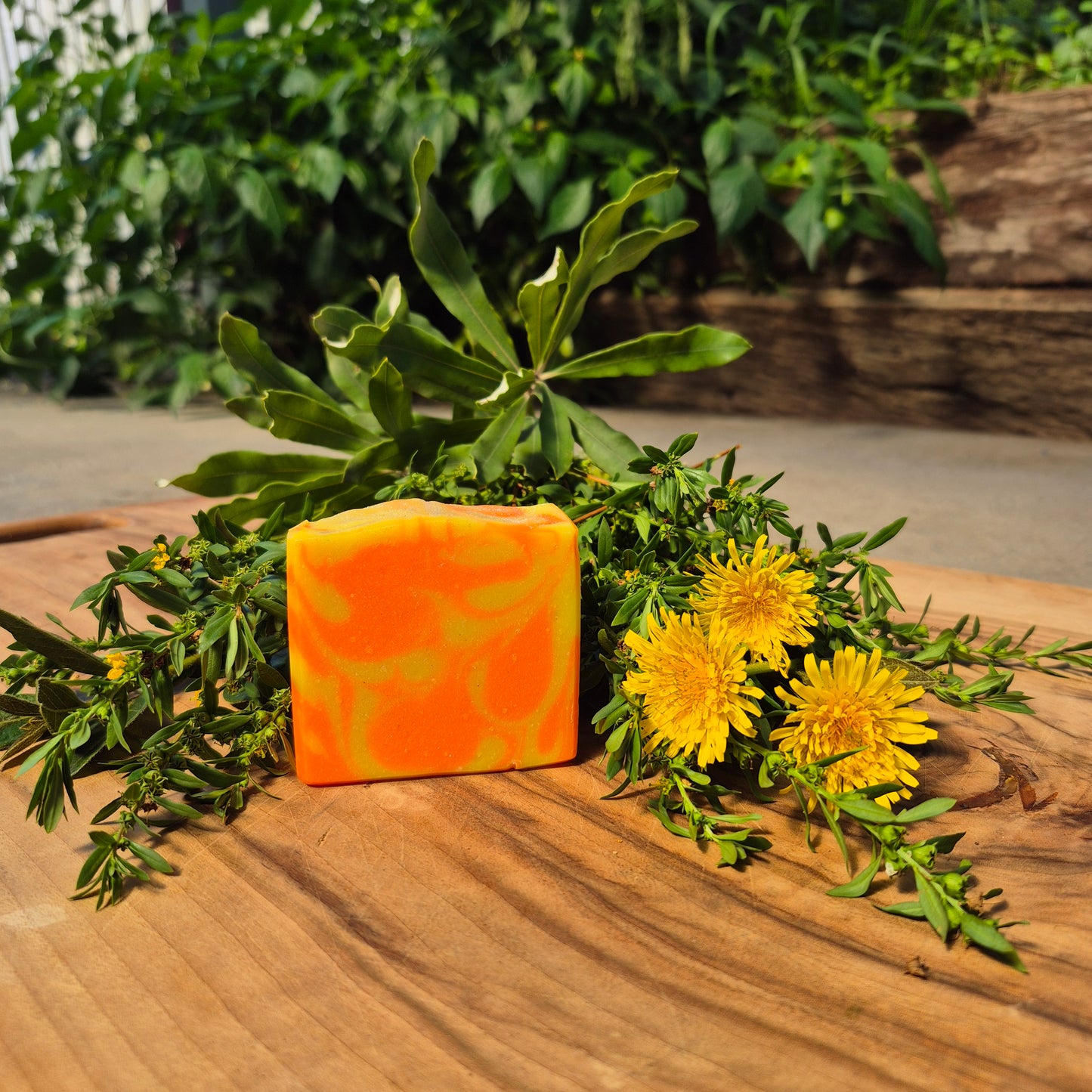 Classic Soap Bar- Wake Me UpUp- White Label