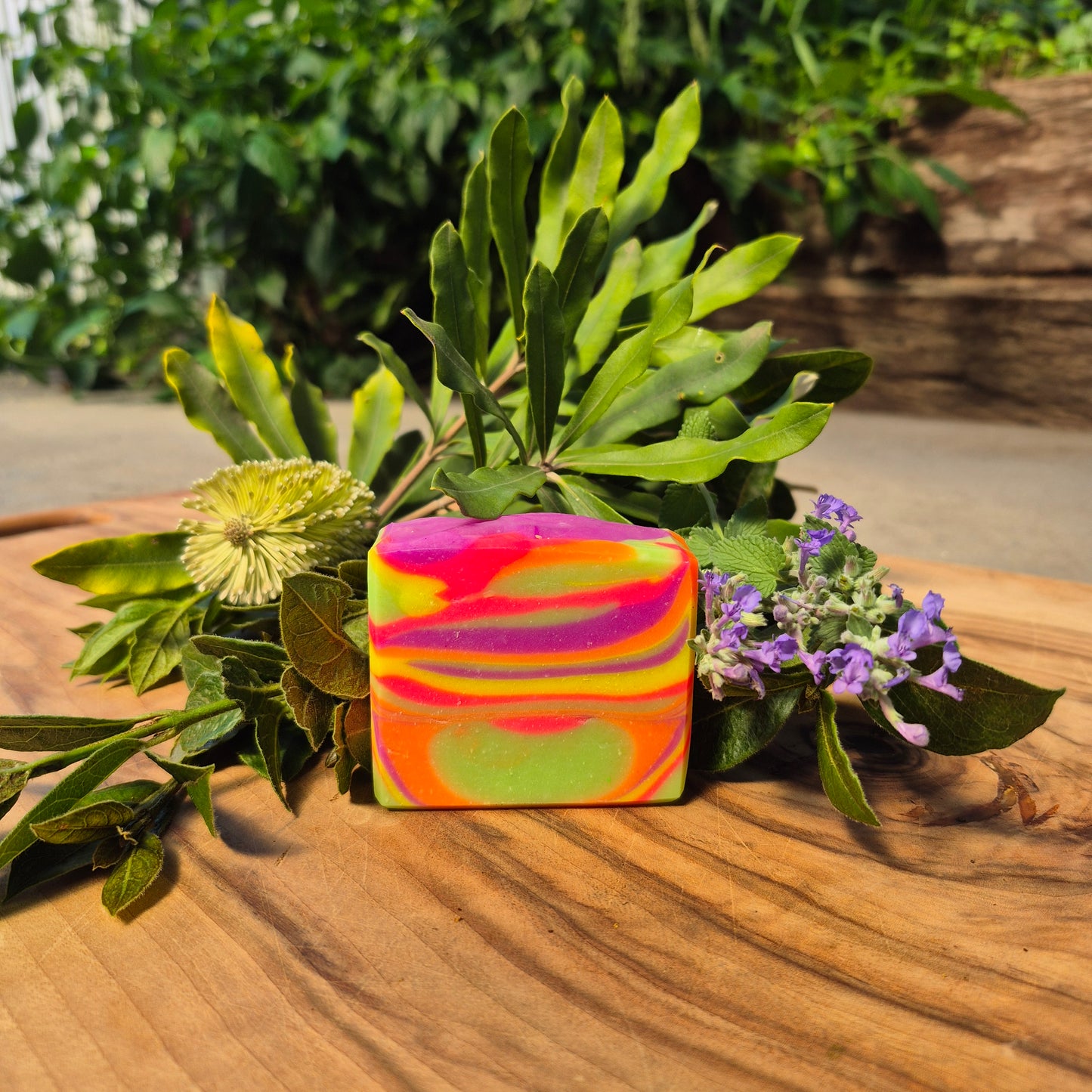 Classic Soap Bar - Jelly Beanz- White Label