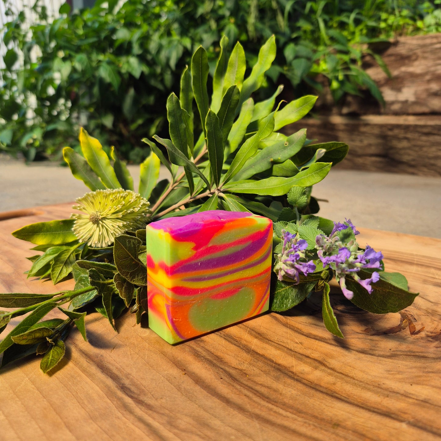 Classic Soap Bar - Jelly Beanz- White Label