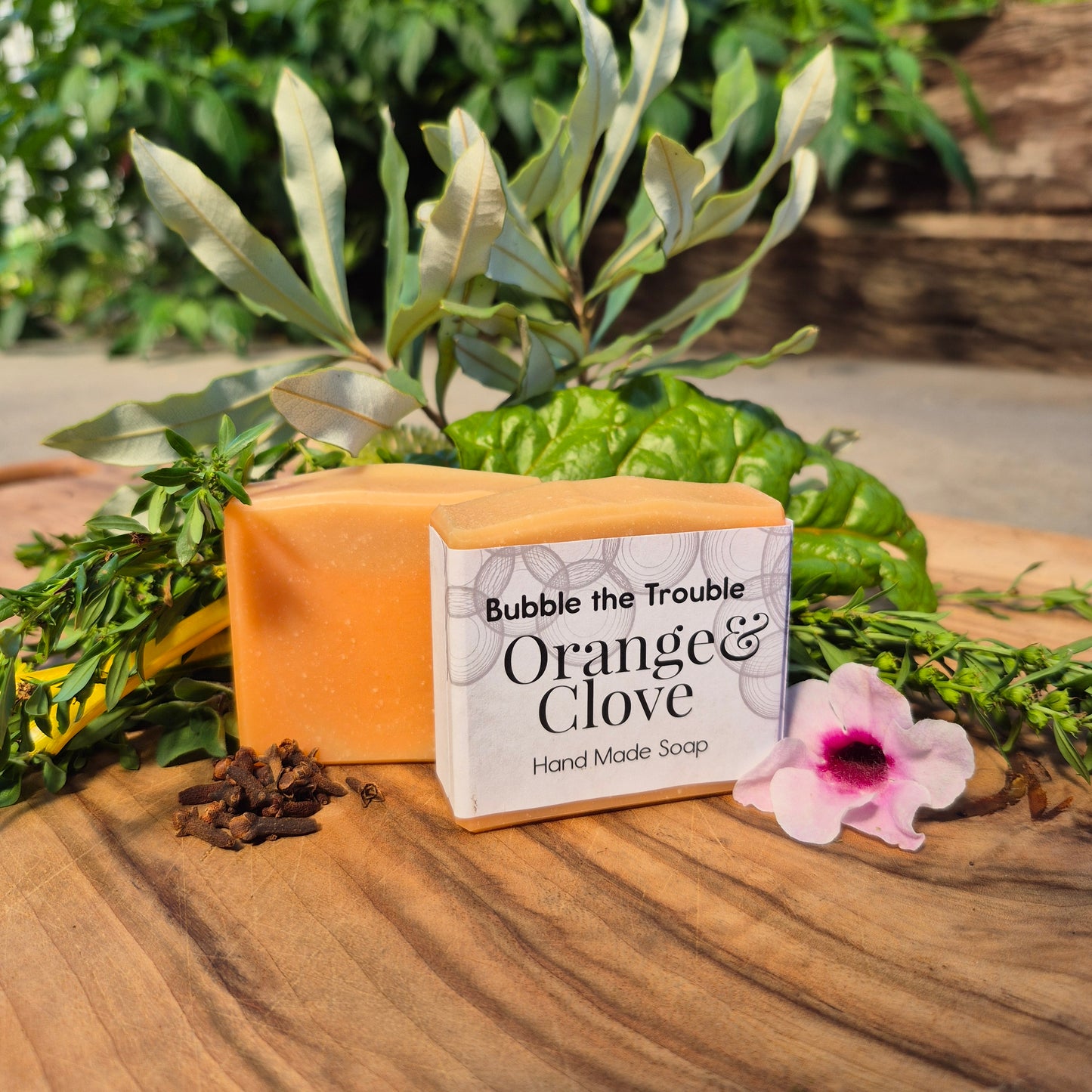 Classic Soap Bars - Orange and Clove