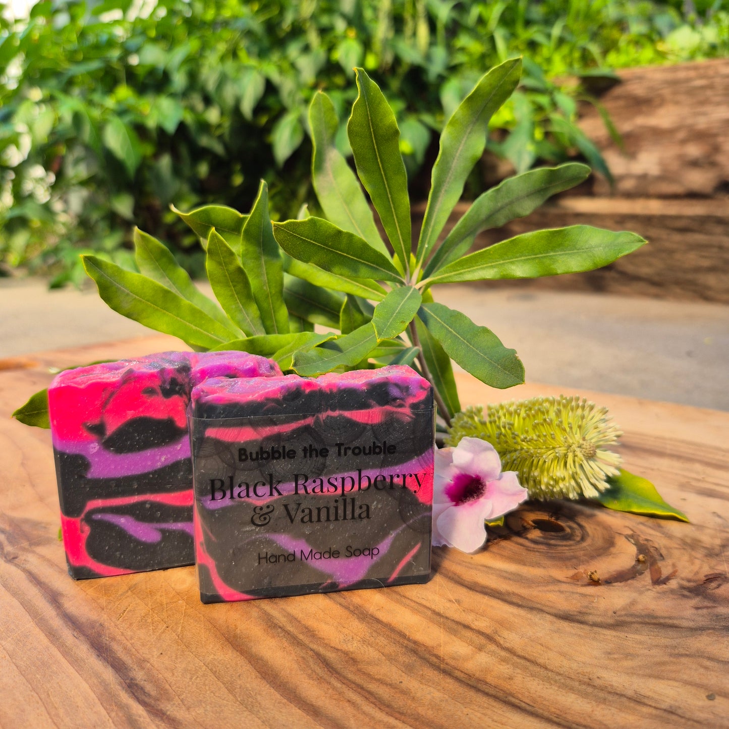 Classic Soap Bars - Black Raspberry and Vanilla
