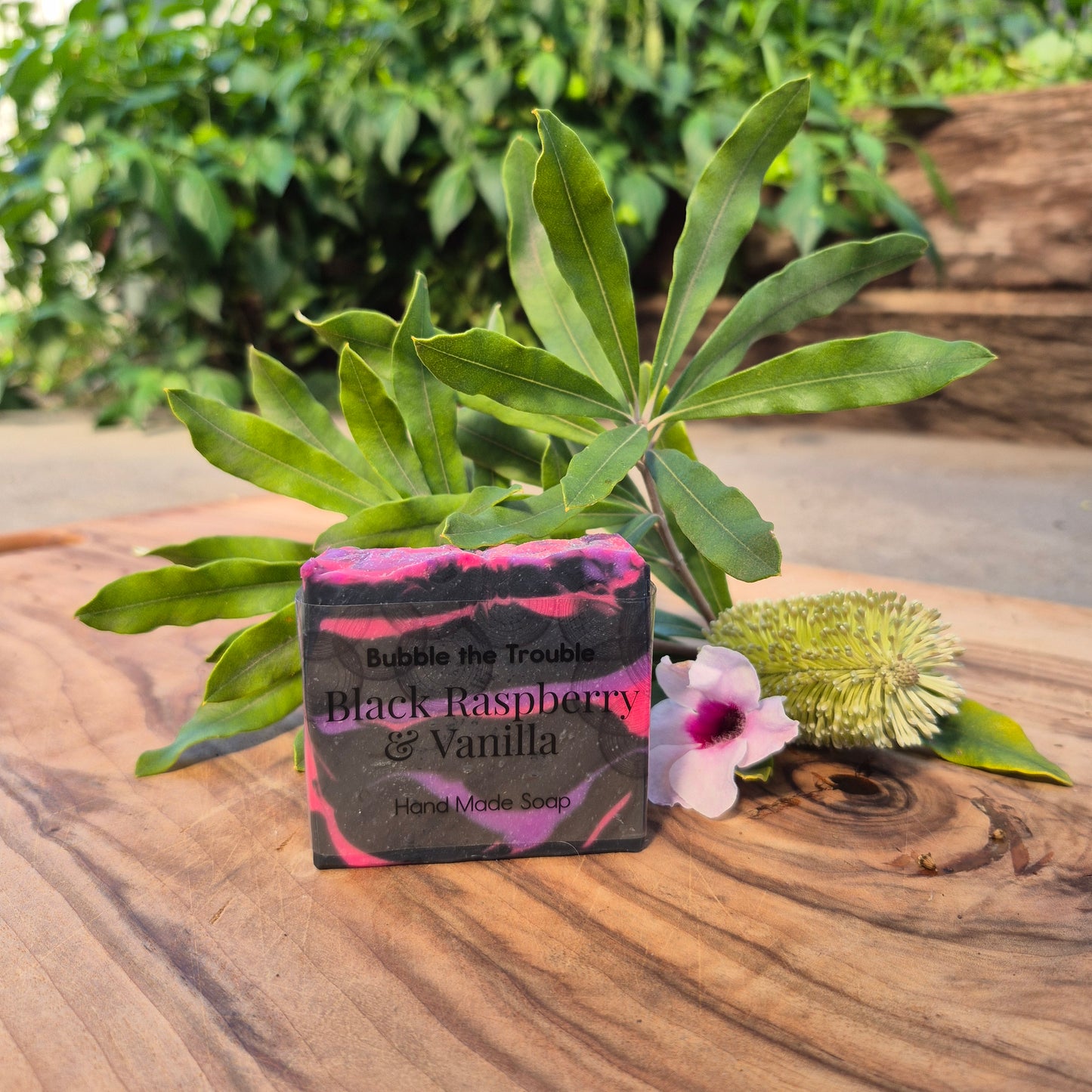Classic Soap Bars - Black Raspberry and Vanilla