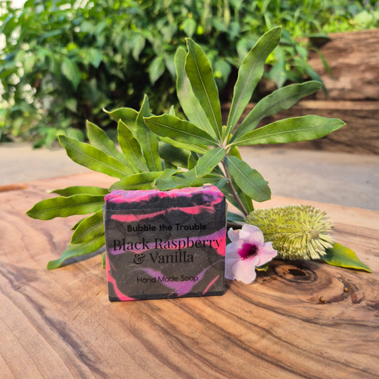Classic Soap Bars - Black Raspberry and Vanilla