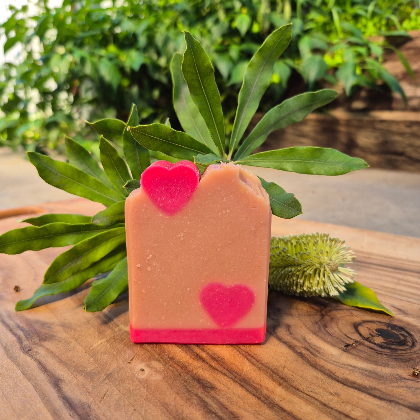 Large Soap Bar - Raspfairy
