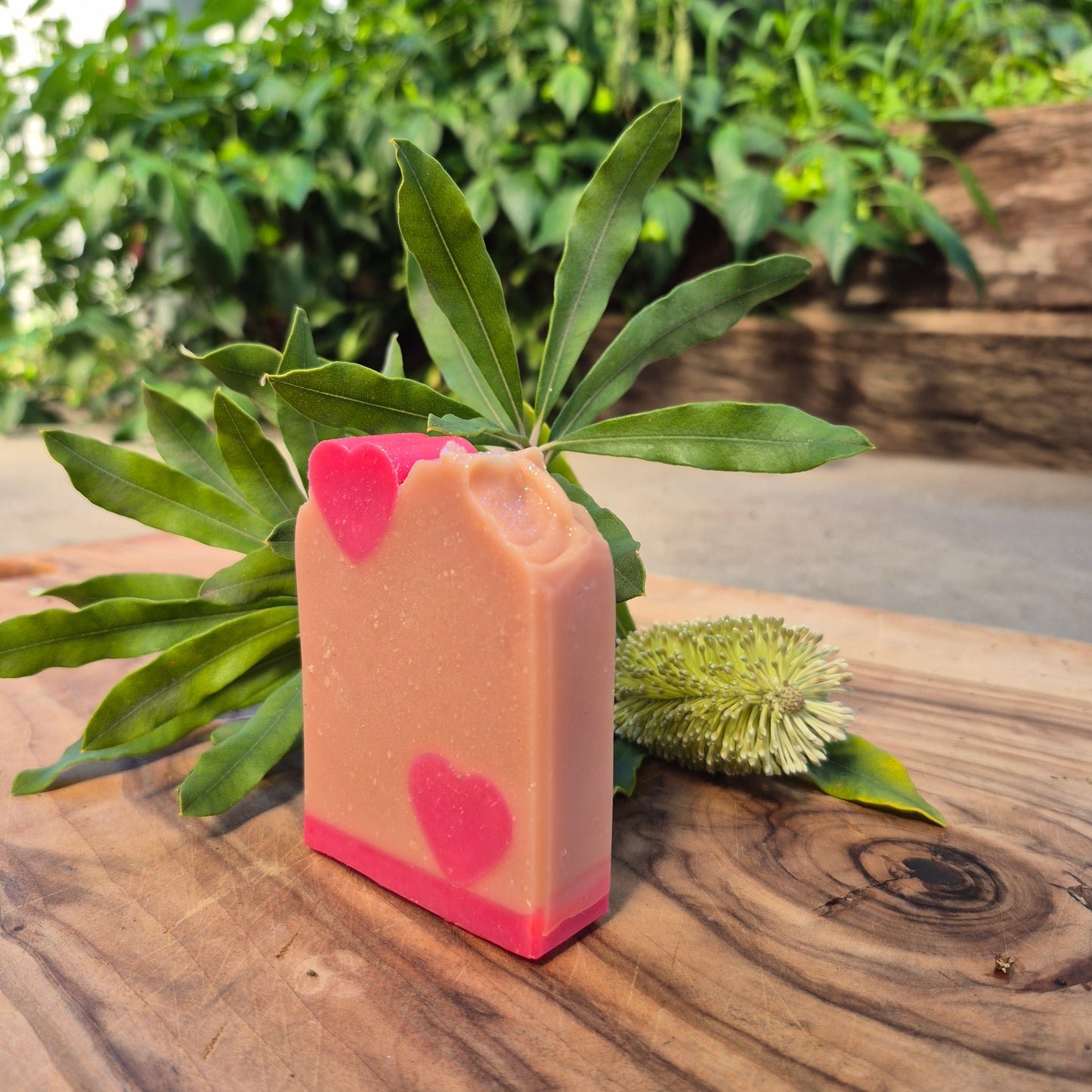 Large Soap Bar - Raspfairy