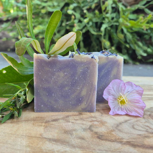 Classic Soap Bar - Sweet Dreams